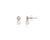 Cachet Swarovski Crystal  Mim Pearl Earrings Gold Small